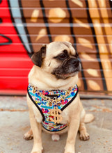 Load image into Gallery viewer, SAVE OVER 10% ON BUNDLE: Attitude Collection: Graffiti Edition Adjustable Harness, Leash and Poop Bag Bundle

