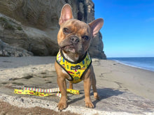 Load image into Gallery viewer, The Beach Bum Adjustable Dog or Cat Harness
