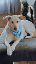 Load image into Gallery viewer, Pupshake Blue Tie On Bandana
