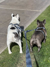 Load image into Gallery viewer, YOU’RE SO GLAM LEASH SPLITTER: WALK 2 dogs with 1 leash!
