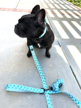 Load image into Gallery viewer, Pupshake Blue Comfort Collar N

