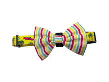 Load image into Gallery viewer, Beach Bum Comfort Collar: Now Available in Size Large Too!
