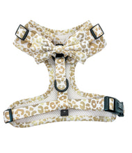 Load image into Gallery viewer, &quot;You&#39;re So Golden&quot; Adjustable Harness
