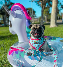 Load image into Gallery viewer, Pool Day Adjustable Harness, Leash and Poop Bag Bundle SAVE $

