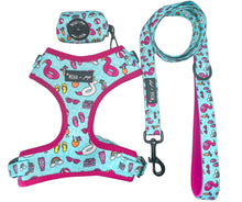 Load image into Gallery viewer, Pool Day Adjustable Harness, Leash and Poop Bag Bundle SAVE $
