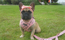 Load image into Gallery viewer, BUNDLE: Pupshake Pink Adjustable Harness, Leash and Poop Bag Bundle SAVE $
