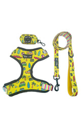 Load image into Gallery viewer, SAVE OVER 10% ON BUNDLE: Beach Bum Adjustable Harness, Leash, and Poop Bag Bundle
