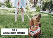 Load image into Gallery viewer, Dachshund dog wearing a Drive-In Diner Reversible Harness, drive-in diner comfort collar on the grass with a little girls hold her using the Drive-In Diner comfort leash and attached Drive-In Diner waste bag holder
