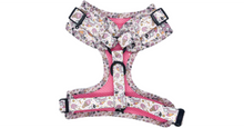 Load image into Gallery viewer, Ice Cream Dreams Adjustable Harness
