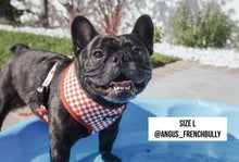 Load image into Gallery viewer, Brindle French bulldog wearing a Drive In Diner Reversible Harness
