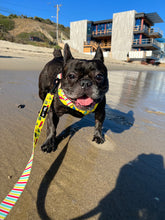 Load image into Gallery viewer, The Beach Bum Adjustable Dog or Cat Harness
