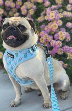 Load image into Gallery viewer, Pupshake Blue Adjustable Harness
