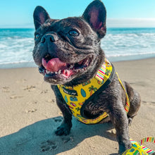 Load image into Gallery viewer, SAVE OVER 10% ON BUNDLE: Beach Bum Adjustable Harness, Leash, and Poop Bag Bundle

