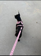 Load image into Gallery viewer, Pupshake Pink Adjustable Harness
