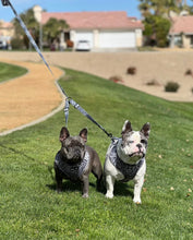 Load image into Gallery viewer, YOU’RE SO GLAM LEASH SPLITTER: WALK 2 dogs with 1 leash!
