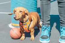 Load image into Gallery viewer, GOT GAME? Basketball ADJUSTABLE DOG AND CAT HARNESS
