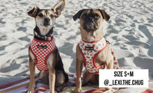 Load image into Gallery viewer, Two dogs on the beach. One dog is wearing the Drive-In Diner Fast Food side reversible harness and the second dog is wearing the red and white checkered Drive-In Diner Reversible Harness and Fast Food Drive-In Diner Comfort Collar. They are sitting on a red striped towel
