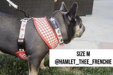 Load image into Gallery viewer, dog model hamlet wearing a size medium red and white drive in diner fast food comfort collar, fast food drive in diner leash and size large drive in diner fast food red and white reversible harness
