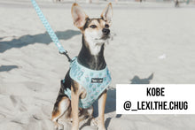 Load image into Gallery viewer, Pupshake Blue Comfort Leash
