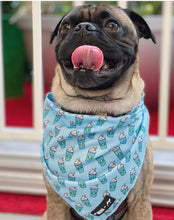 Load image into Gallery viewer, Pupshake Blue Tie On Bandana
