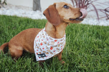 Load image into Gallery viewer, a dachshund model wearing a Drive In Diner Fast food burger fries soda drink hot dogs white and red polyester dog cat cooling bandana with black and white Mina + Pup rubber logo 
