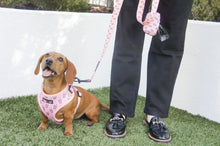Load image into Gallery viewer, Pupshake Pink Comfort Leash
