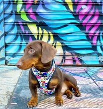 Load image into Gallery viewer, “The Attitude Collection: Graffiti Edition&quot; Adjustable Harness
